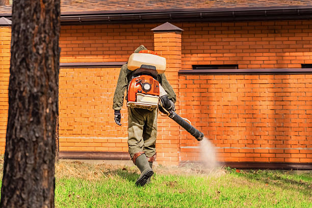 Bed Bug Clearance Verification and Documentation in Charter Oak